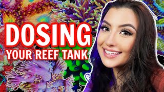 A Simple Guide to Reef Tank Dosing [upl. by Aciamaj]