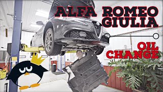 Alfa Romeo Giulia  I do an Oil Change on the daily [upl. by Liebermann]