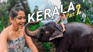 Thekkady Luxury Resort Stay  Periyar Tiger Reserve  Elephant Shower  Kerala Tourism Part 7 [upl. by Ahsila]