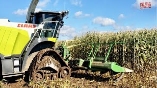 CLAAS 980 Jaguar on Tracks Harvesting Corn [upl. by Solohcin709]