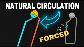 Natural vs Forced Circulation Boilers Which is better [upl. by Steinberg]