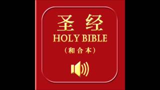 和合本圣经 • 约翰福音  Chinese Union Version Bible • John [upl. by Jamesy]