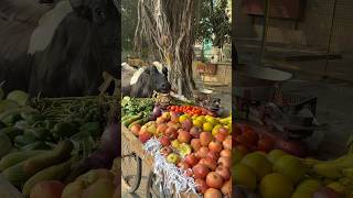 अंकल का सब्ज़ी गाय माता खा गई😱🥲humanity respect helping trending viralvideo youtubeshorts [upl. by Jaymee]