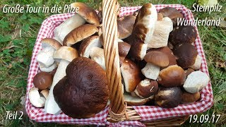 Große Tour in die Pilze TEIL 2  190917  Steinpilz Wunderland NDS [upl. by Ettesil814]