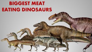 The 10 Biggest Carnivorous Dinosaurs Ever Discovered [upl. by Aipmylo]