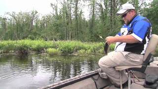 Fishing Reelfoot Lake [upl. by Bozovich216]