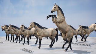 Horse Herd 20  All Animations Preview [upl. by Kerby]