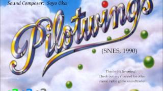 Pilotwings SNES  Skydiving Stage Music Extended [upl. by Toinette]