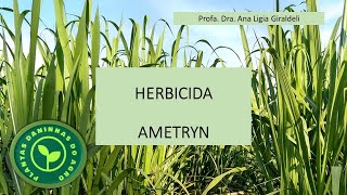 HERBICIDA AMETRYN [upl. by Yrekcaz]