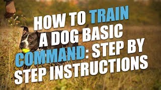 How To Train A Dog Basic Commands Step by Step Instructions [upl. by Dominick]