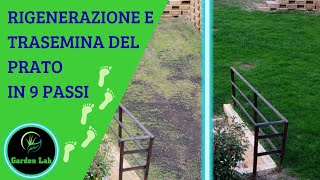 Risemina del prato danneggiato con Self Repair prato giardinaggio lawn [upl. by Aronid316]