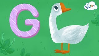 Learn the Letter G  Alphabet for Kids  Kids Academy [upl. by Kone]