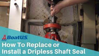 How to Replace or Install a Dripless Shaft SealStuffing Box  BoatUS [upl. by Asilla394]