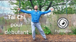 Tai Chi pour débutant quotcours completquot 1e section 1 [upl. by Nnoved]