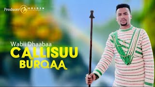 Wabii Dhaabaa  Callisuu Burqaa  Ethiopian Oromo Music 2020 Official Video [upl. by Ynaiffit484]