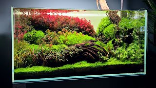 1 HOUR OF BEAUTIFUL AQUARIUMS WITH RELAXING MUSIC  AQUARIUM IN 4K [upl. by Bohon]