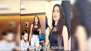 Basbousa Song Official Acapella [upl. by Akkahs]