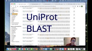 How to Use BLAST for Protein Sequence Analysis UniProt [upl. by Asylem190]