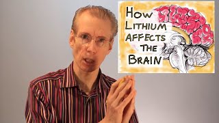 How Lithium Treats the Brain [upl. by Imaon]