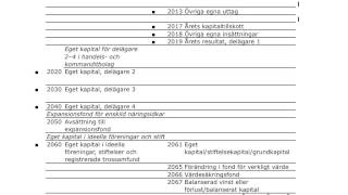 BAS 2014 kontoplan genomgång [upl. by Fates167]