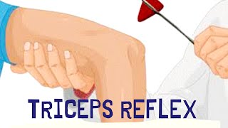 Triceps Deep Tendon Reflex  Deep Tendon Reflexes [upl. by Skeie484]