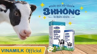 Quảng cáo Vinamilk  Món quà sức khoẻ 3 Không từ Thiên Nhiên  Sữa Tươi 100 Ít Đường Mới [upl. by Stokes52]