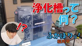 身近な水をきれいにする浄化槽【岡澤アキラのふかぼりっ！福岡県】 [upl. by Haon]