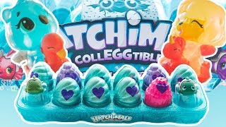 Color Changing Hatchimals Hatchimals Colleggtibles Mermal Magic Series 5 Egg Carton Limited Edition [upl. by Brietta]