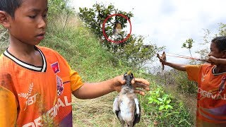 Primitive Slingshot Use To Shoot The Bird By Smart Boy Slingshot How To Make And Use [upl. by Nilyahs]