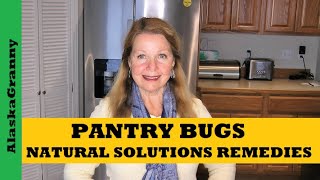 Pantry Bugs How To Get Rid Of Pantry Bugs Natural Solutions Keep Weevils Out Of Food [upl. by Ecirtac]