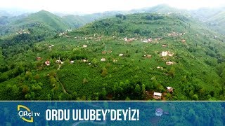 Ordu Ulubeydeyiz BİZİM KÖY [upl. by Auoz]