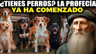 Lo Que NOSTRADAMUS Predijo Para LOS DUEÑOS DE PERROS  Descubre las Profecías [upl. by Cirad404]