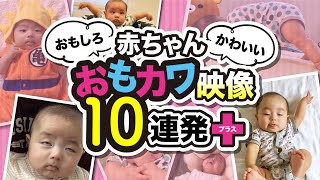 【赤ちゃんのおもしろ＆かわいい映像10連発写真館】（生後2ヶ月〜11ヶ月） [upl. by Husain]