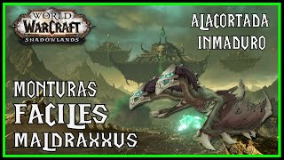 🦇🟢 Monturas FACILES Maldraxxus 🟢🦇  Alacortada Inmaduro  World of Warcraft Shadowlands [upl. by Aineg]