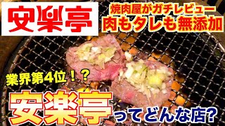 【食レポ】安楽亭ってどんな店焼肉屋が解説します [upl. by Avera252]