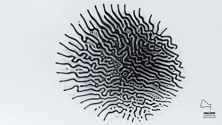 Ferrofluid  Magnetic pattern I [upl. by Nolita]