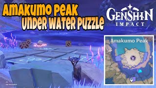 Amakumo Peak Under Water Puzzle  Genshin Impact [upl. by Aime]