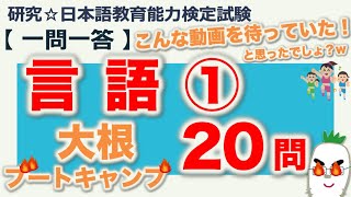 【一問一答・言語①】日本語教育能力検定試験まとめ [upl. by Terrej]