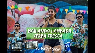 Yerba Fresca  Bailando Lambada Video Oficial [upl. by Eri]