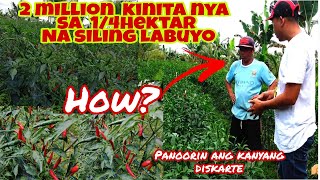 FARMER Paano KIKITA ng MILYON sa SILING LABUYO Secrets Revealed [upl. by Nesrac]