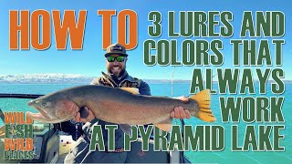 3 lures and colors that ALWAYS work at Pyramid Lake [upl. by Nalyad370]