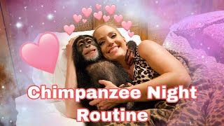 Baby Chimp Night Routine [upl. by Dwinnell]