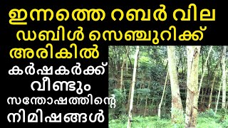 ഇന്നത്തെ റബ്ബർ വില കർഷകർക്ക് വീണ്ടും സന്തോഷം  Manojnediyackal rubber tapping [upl. by Aderfla]