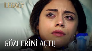 Seher Gözlerini Açtı  Legacy 76 Bölüm English amp Spanish subs [upl. by Toscano]