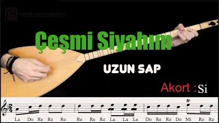 Hadi Saz Çalalım  Çeşmi Siyahım Uzun Sap [upl. by Atilol815]