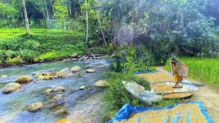 MASYA ALLAH TIDAK DI SANGKA😍 Seenak Ini Datang Ke Kampung Yang Indah Pemandangan Alam Desanya [upl. by Nacul]