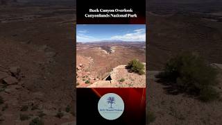 Buck Canyon Overlook at Canyonlands National Park [upl. by Anerol]