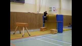 Parkour im Sportunterricht [upl. by Ocirne]