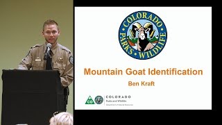 Colorado Hunting Tips How to ID Mountain Goats [upl. by Clough439]