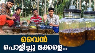 Gooseberry Wine Making  How to Make Gooseberry Wine Malayalam  Cousins Cooking [upl. by Lessirg359]